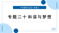 中考道德与法治一轮专题复习课件专题二十 和谐与梦想（含答案）