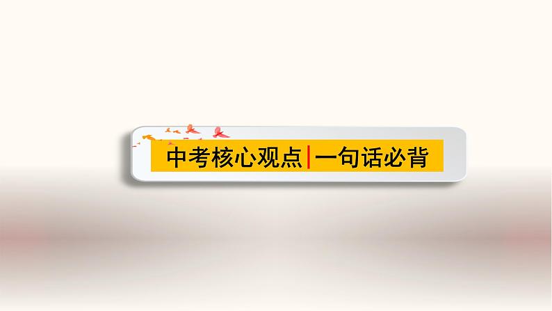 中考道德与法治一轮夯实基础精品课件专题15 我国基本制度（含答案）第5页