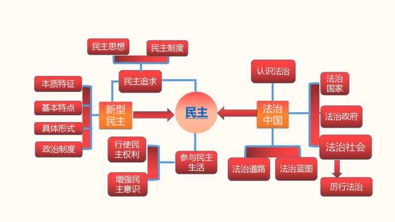 中考道德与法治一轮夯实基础精品课件专题19 民主与法治（含答案）03