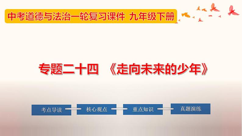 中考道德与法治一轮夯实基础精品课件专题24 走向未来的少年（含答案）第1页