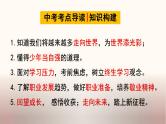 中考道德与法治一轮夯实基础精品课件专题24 走向未来的少年（含答案）