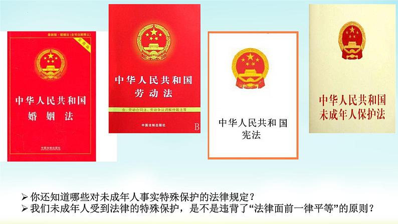 10.1+法律为我们护航+课件-2023-2024学年统编版道德与法治七年级下册第8页