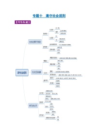 中考道德与法治一轮复习考点巩固练习 专题10 遵守社会规则（含解析）