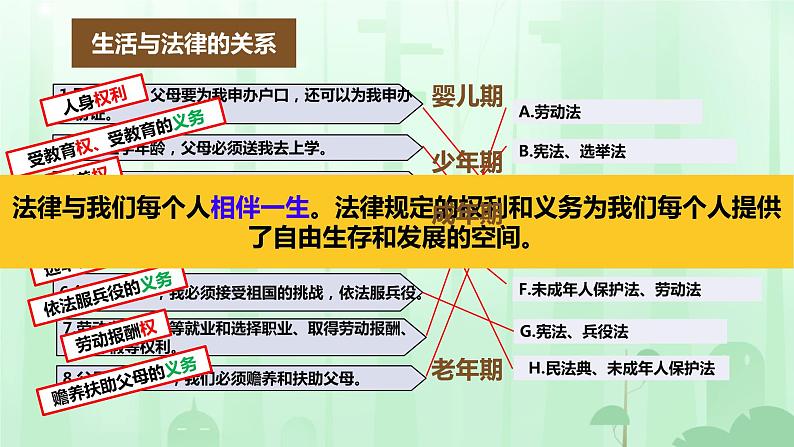 生活需要法律 课件 初中道德与法治人教版七年级下册07