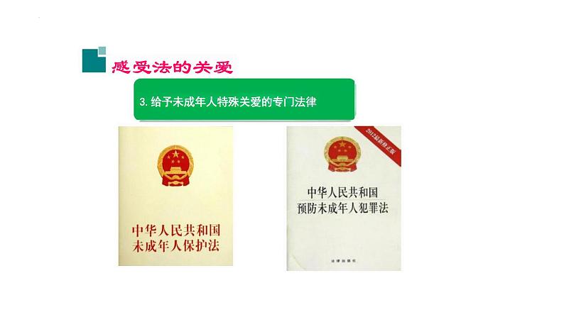 10.1+法律为我们护航+课件-2023-2024学年统编版道德与法治七年级下册07