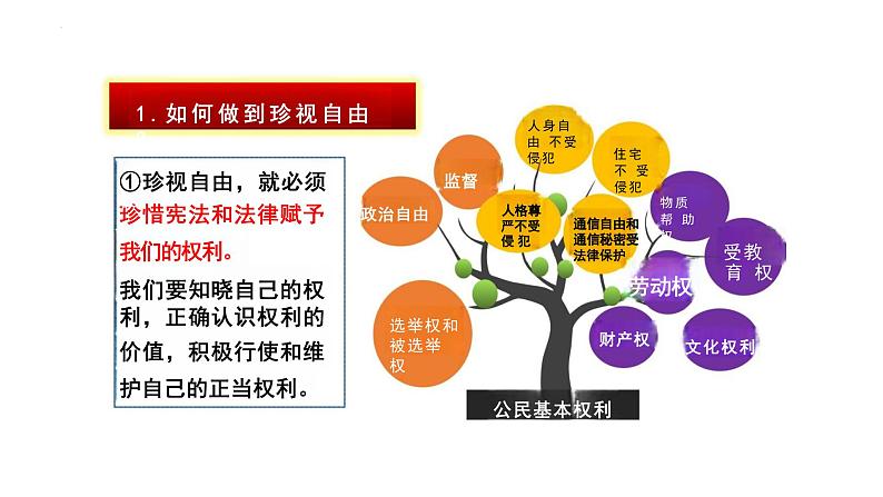 7.2+自由平等的追求+课件+-2023-2024学年统编版道德与法治八年级下册++07