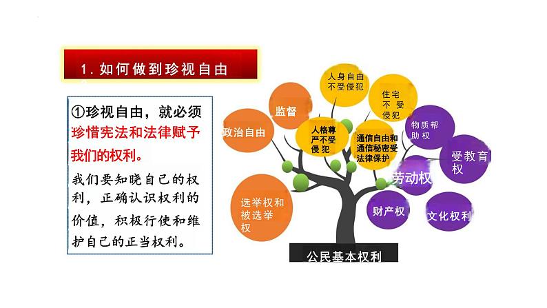 7.2+自由平等的追求+课件+-2023-2024学年统编版道德与法治八年级下册++第8页