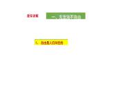 7.1+自由平等的真谛+课件-2023-2024学年统编版道德与法治八年级下册