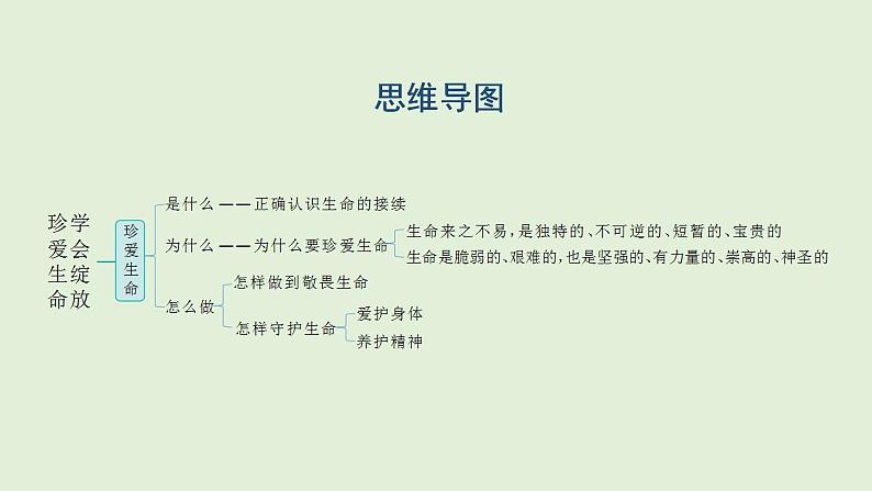 2024年中考一轮道德与法治复习课件 珍爱生命  学会绽放02