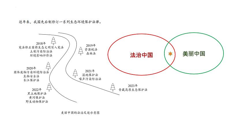 2024年中考道德与法治一轮复习建议：法治教育 课件第4页