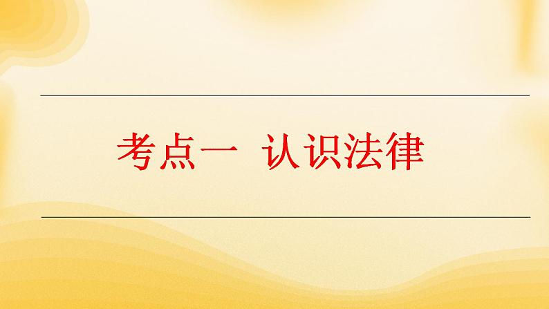 2024年中考道德与法治一轮复习课件 学习法律常识 理解特殊保护   课件第3页