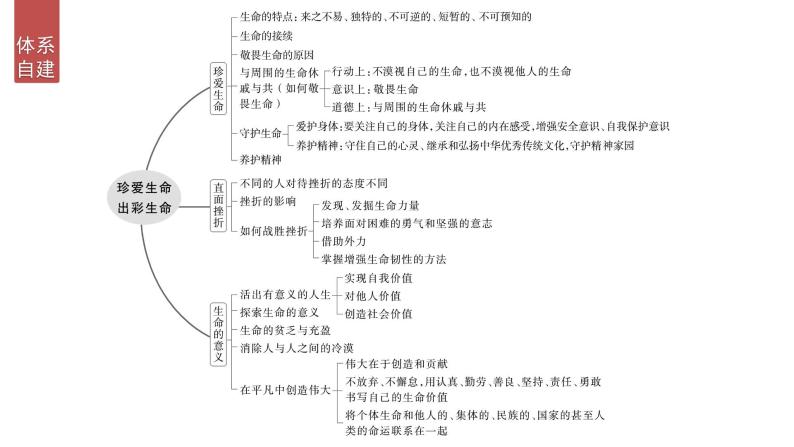 2024年中考道德与法治一轮复习课件 珍爱生命　出彩生命05