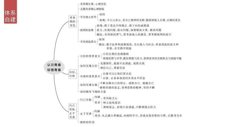 2024年中考道德与法治一轮复习课件 认识青春　珍惜青春05