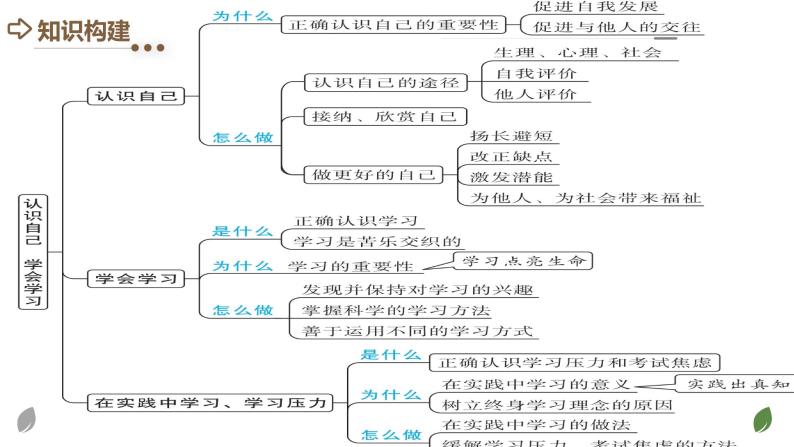 2024年中考道德与法治一轮复习课件：认识自己 学会学习04