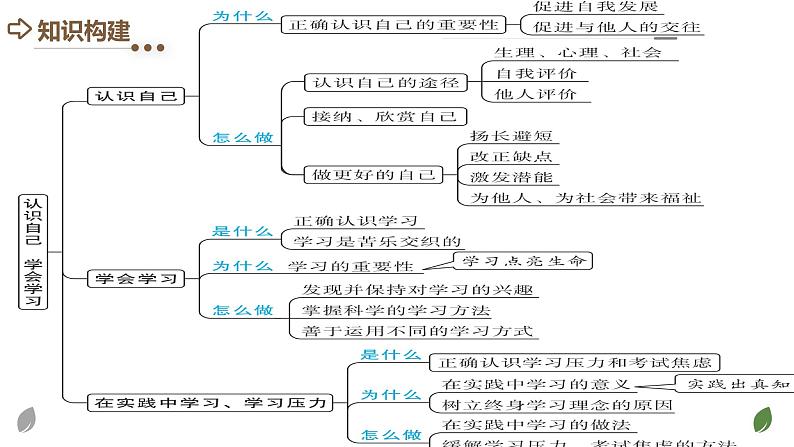 2024年中考道德与法治一轮复习课件：认识自己 学会学习04