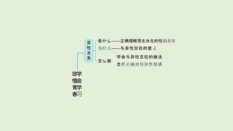 2024年中考道德与法治总复习考点讲练课件 珍惜青春 学会学习03