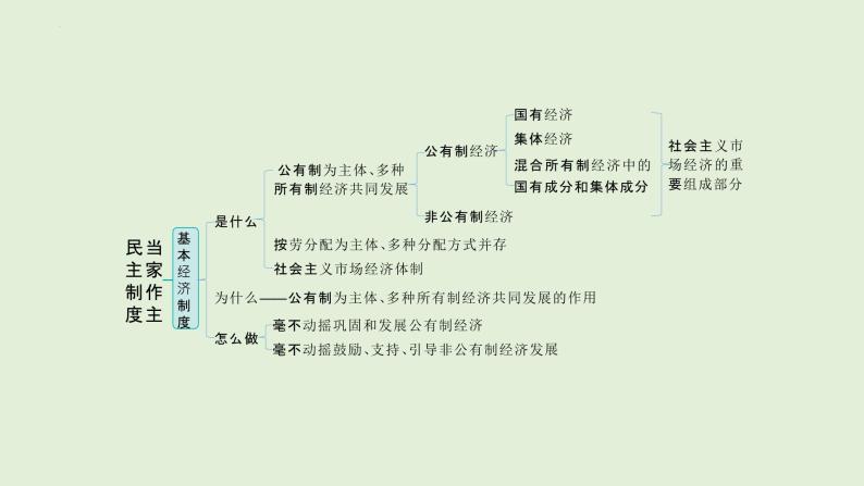 2024年中考道德与法治总复习考点讲练课件：民主制度 当家作主04