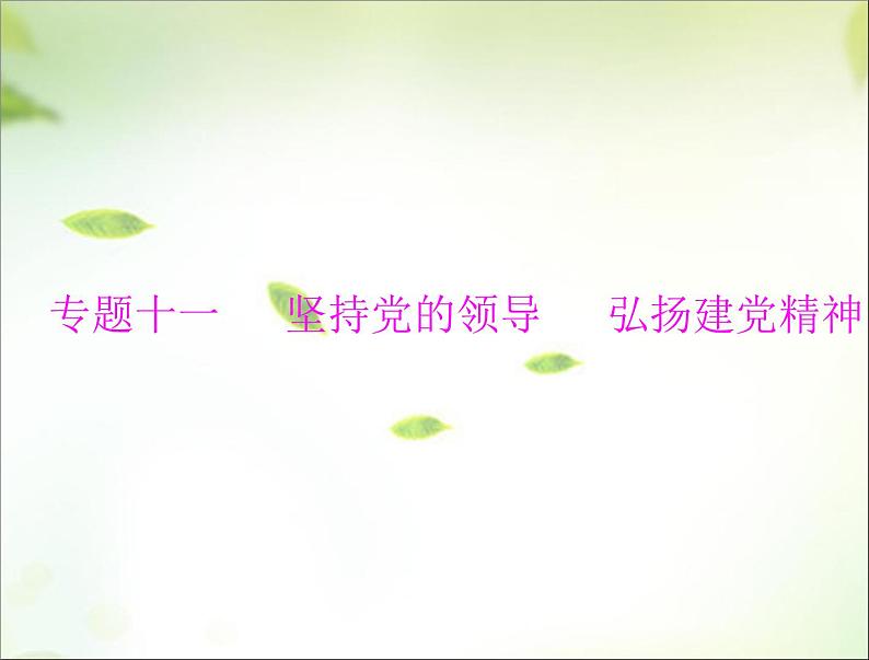 2024年中考道德与法治总复习课件 坚持党的领导 弘扬建党精神 课件第1页