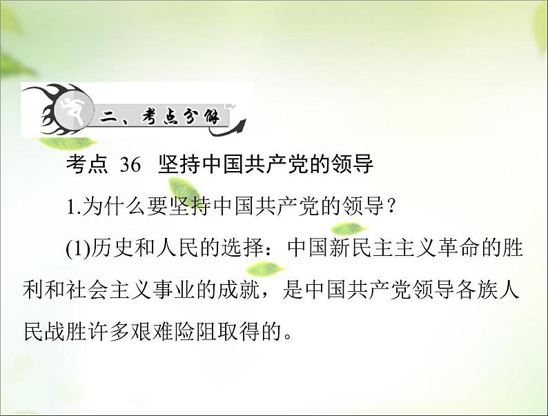 2024年中考道德与法治总复习课件 坚持党的领导 弘扬建党精神 课件第7页