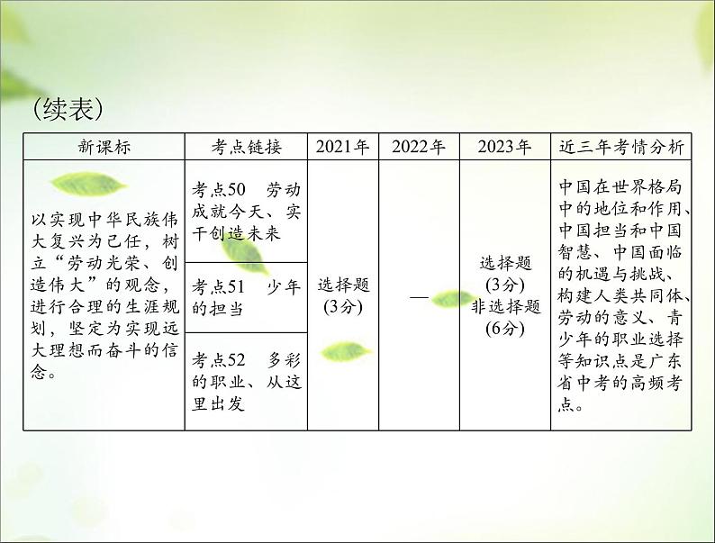 2024年中考道德与法治总复习课件 胸怀天下 走向未来 课件第3页