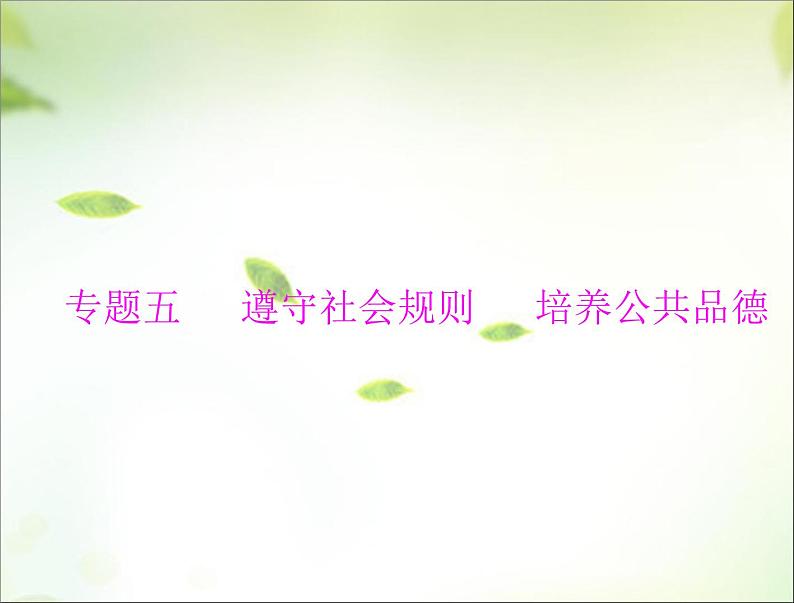 2024年中考道德与法治总复习课件 遵守社会规则 培养公共品德 课件第1页