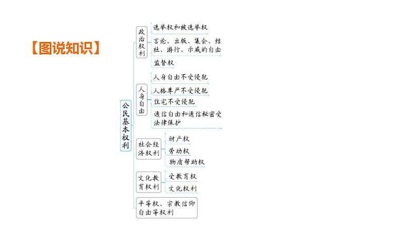 第二单元 理解权利义务 课件 2024年中考道德与法治一轮复习05