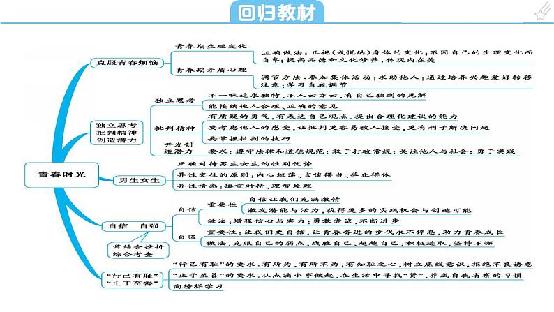 考点6 青春时光课件+学案（含答案）   2024年中考道德与法治一轮复习考点探究06