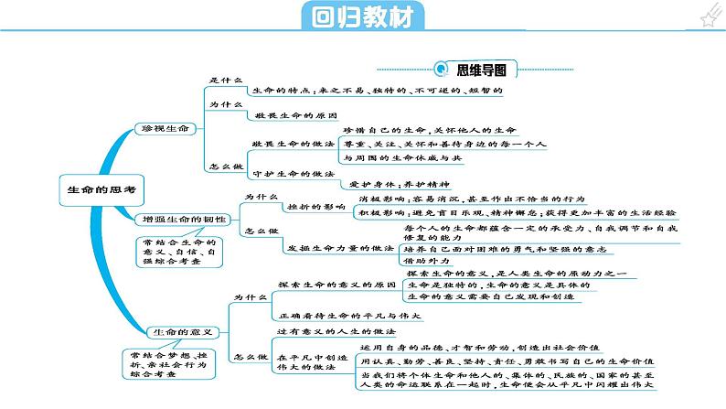 考点5 生命的思考课+学案（含答案） 2024年中考道德与法治一轮复习考点探究05