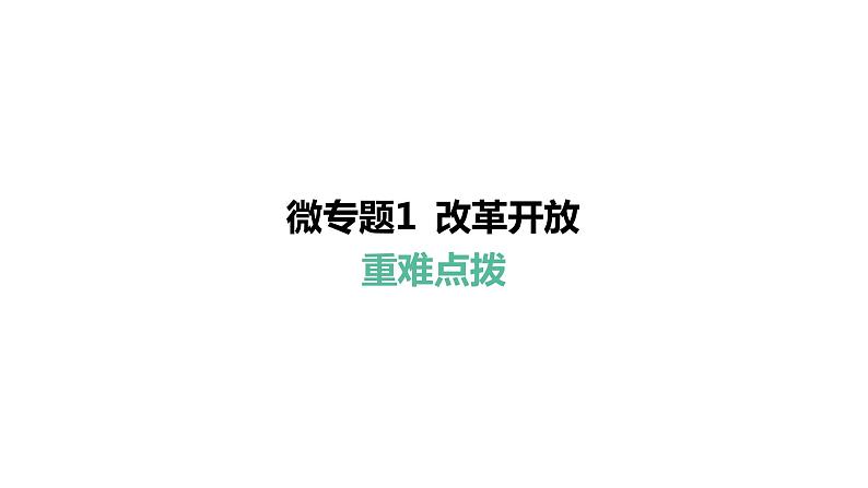 微专题1 改革开放----2024年中考道德与法治微专题复习课件01