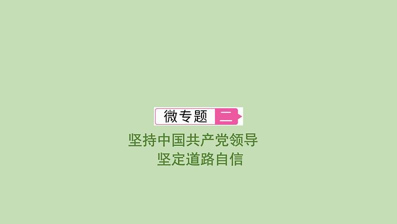 江西省2024年中考道德与法治二轮专题复习课件专题二 坚持中国共产党领导　坚定道路自信第1页