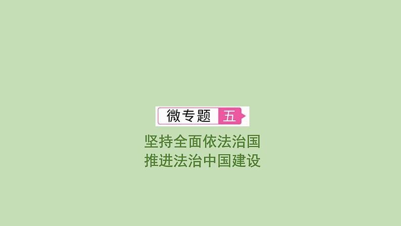 江西省2024年中考道德与法治二轮专题复习课件专题五 坚持全面依法治国　推进法治中国建设第1页