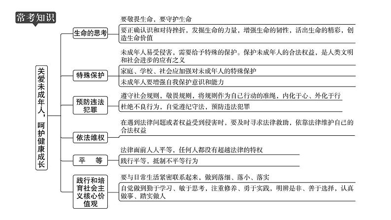 山东省2024年中考道德与法治二轮热点专题复习课件专题六 关爱未成年人，呵护健康成长02