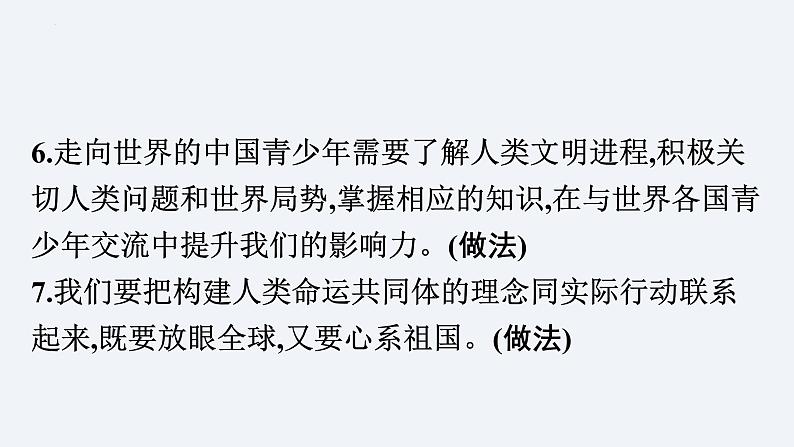 2024年中考道德与法治二轮专题复习课件 大国外交第6页