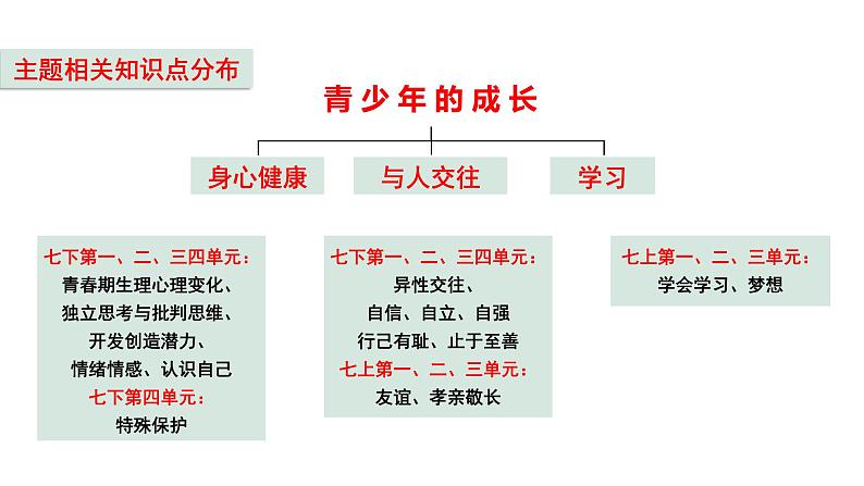 2024年中考道德与法治二轮复习备考专题 青少年的成长 课件第4页