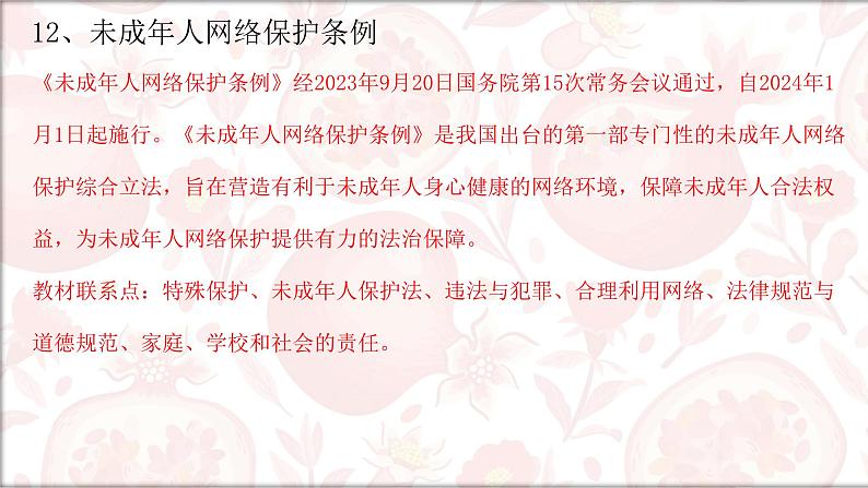 2024年中考道德与法治二轮复习课件：重要时政内容08