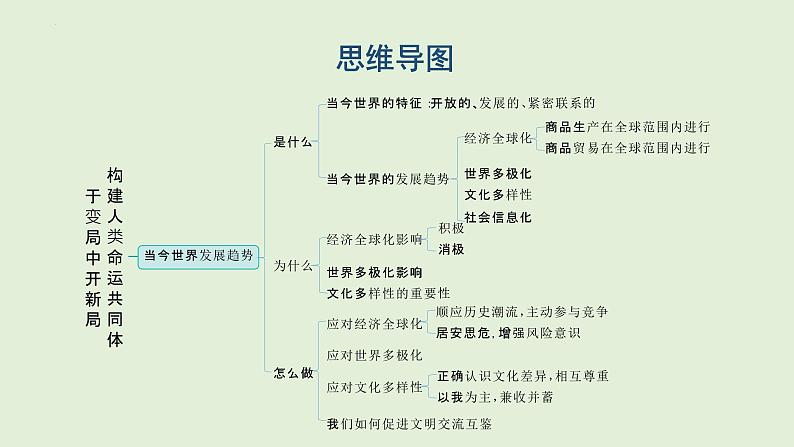 2024年中考道德与法治二轮总复习课件 于变局中开新局  构建人类命运共同体02