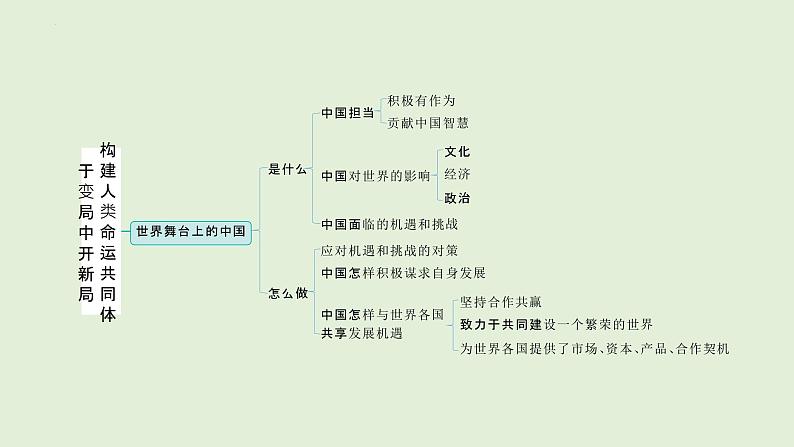 2024年中考道德与法治二轮总复习课件 于变局中开新局  构建人类命运共同体04