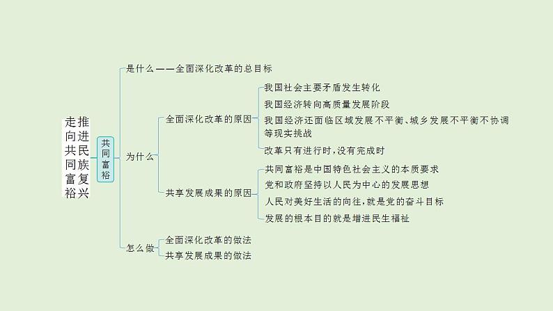 2024年中考道德与法治二轮总复习课件 走向共同富裕  推进民族复兴第3页