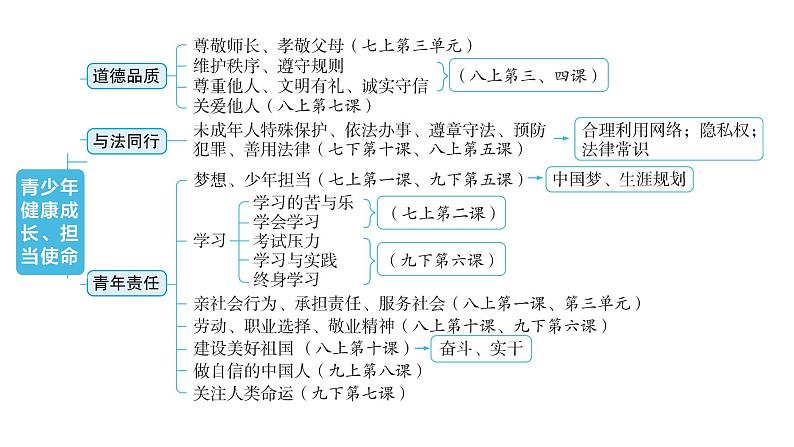 河南省2024年中考道德与法治二轮专题复习课件：专题一 青少年健康成长、担当使命第4页