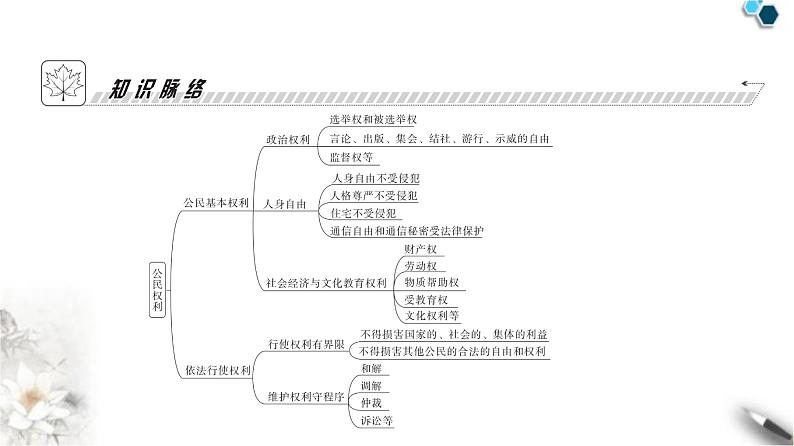 人教版八年级道德与法治下册第二单元理解权利义务第三课公民权利第一课时公民基本权利课件04