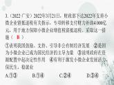 人教版八年级道德与法治下册第三单元人民当家作主单元精练三课件