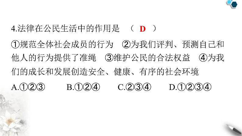 人教版七年级道德与法治下册第四单元第九课第二课时法律保障生活课件第5页