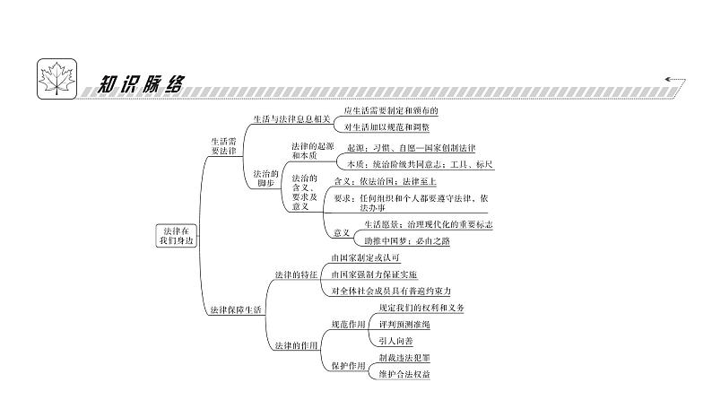 人教版七年级道德与法治下册第四单元第九课第一课时生活需要法律课时教学课件第4页