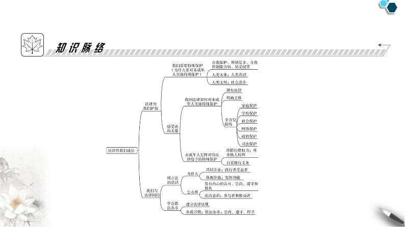 人教版七年级道德与法治下册第四单元第十课第一课时法律为我们护航课时教学课件第4页