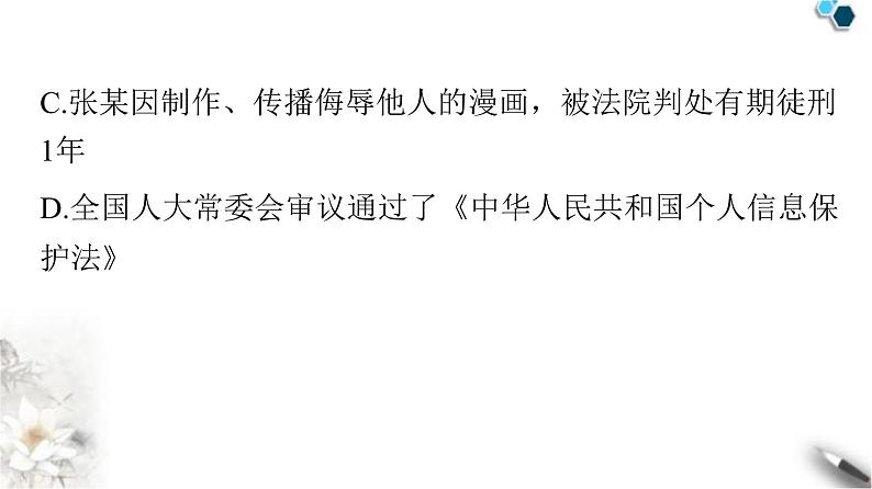 人教版七年级道德与法治下册第四单元精练课件第3页