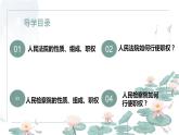 6.5 国家司法机关  课件  ---2023-2024学年统编版道德与法治八年级下册