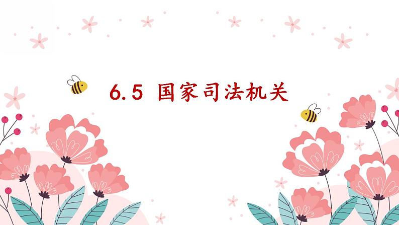 6.5 国家司法机关  课件  --2023-2024学年统编版道德与法治八年级下册第1页