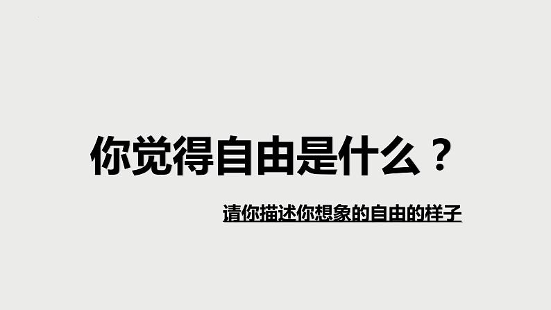 7.1  自由平等的真谛  课件(第一课时 )---2023-2024学年统编版道德与法治八年级下册第2页