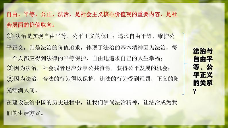 7.1 自由平等的真谛 课件 2023-2024学年统编版道德与法治八年级下册第3页