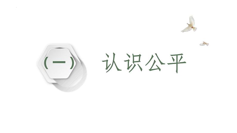 8.1 公平正义的价值 课件 .---2023-2024学年统编版道德与法治八年级下册05